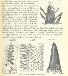 An Elementary Course of Geology, Mineralogy and Physical Geography(1855) document 459654