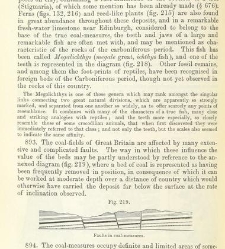 An Elementary Course of Geology, Mineralogy and Physical Geography(1855) document 459655