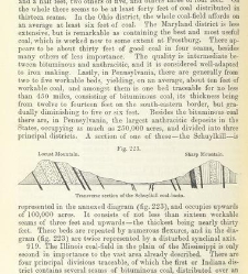 An Elementary Course of Geology, Mineralogy and Physical Geography(1855) document 459667