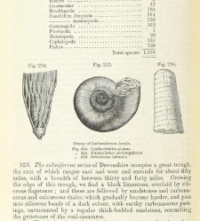 An Elementary Course of Geology, Mineralogy and Physical Geography(1855) document 459671