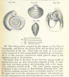 An Elementary Course of Geology, Mineralogy and Physical Geography(1855) document 459678