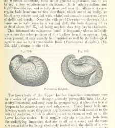 An Elementary Course of Geology, Mineralogy and Physical Geography(1855) document 459684