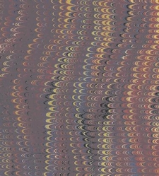 Archives Dauphinoises. Histoire de la reunion du Dauphine a la France. (1886) document 460382