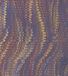 Archives Dauphinoises. Histoire de la reunion du Dauphine a la France. (1886) document 460785