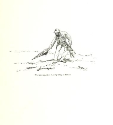 Down the Islands. A voyage to the Caribbees ... With illustrations.(1888) document 465116