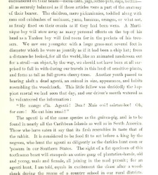 Down the Islands. A voyage to the Caribbees ... With illustrations.(1888) document 465176
