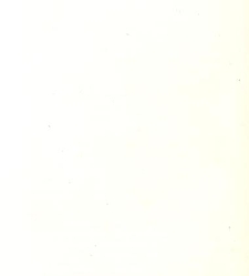 Les Portugais d'Ame?rique(1847) document 470919