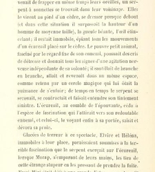 Les Portugais d'Ame?rique(1847) document 470943