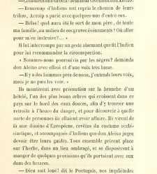 Les Portugais d'Ame?rique(1847) document 471076