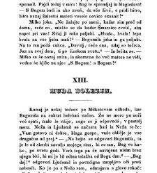 Blagomir pu&scaron;čavnik(1853) document 419018