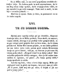 Blagomir pu&scaron;čavnik(1853) document 419043