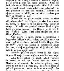 Najdenček(1860) document 419183