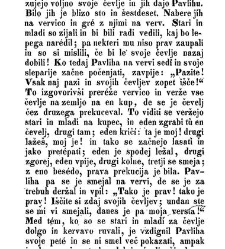Nem&scaron;ki Pavliha v slovenski obleki(1866) document 419223