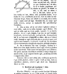 Rudninoslovje(1867) document 419388