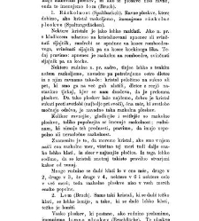 Rudninoslovje(1867) document 419406