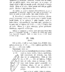 Rudninoslovje(1867) document 419421