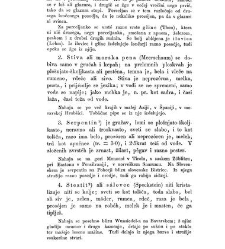 Rudninoslovje(1867) document 419436
