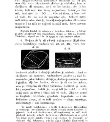 Rudninoslovje(1867) document 419449