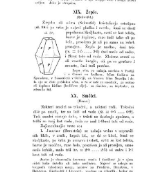 Rudninoslovje(1867) document 419464