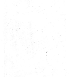 Stric Tomaž(1853) document 419823