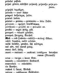 Robinson mlaj&scaron;i(1849) document 420744