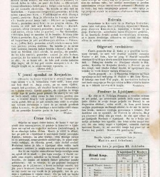 Kmetijske in rokodelske novice (1846) document 423263