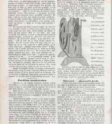 Novice kmetijskih, rokodelnih in narodskih reči(1849) document 423293