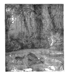 Pridni Janezek(1881) document 496167