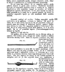 Knjiga prirode I.(1870) document 503866