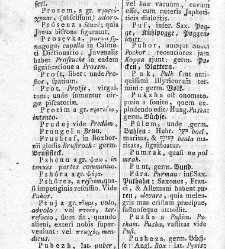 Tu malu besedishe(1781) document 507339