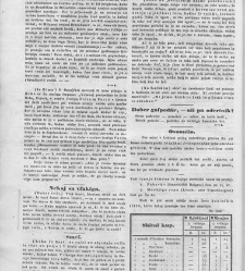 Kmetijske in rokodelske novize(1843) document 507396