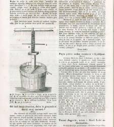 Kmetijske in rokodelske novize(1846) document 507900