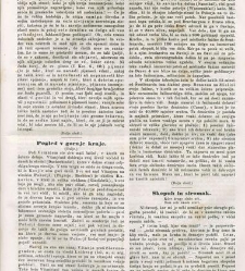 Kmetijske in rokodelske novize(1847) document 508043