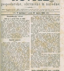Kmetijske in rokodelske novize(1863) document 513552