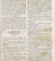 Kmetijske in rokodelske novize(1863) document 513744