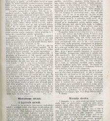 Kmetijske in rokodelske novize(1864) document 513890