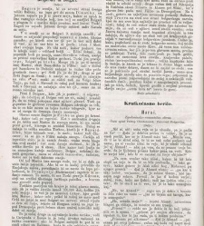 Kmetijske in rokodelske novize(1864) document 513983