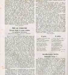 Kmetijske in rokodelske novize(1864) document 514123