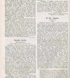 Kmetijske in rokodelske novize(1864) document 514205