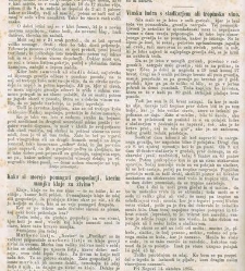 Kmetijske in rokodelske novize(1865) document 514641