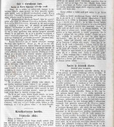 Kmetijske in rokodelske novize(1866) document 515150