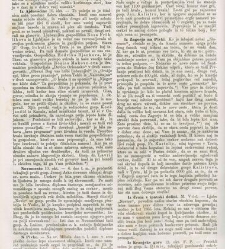 Kmetijske in rokodelske novize(1867) document 515495