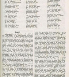 Kmetijske in rokodelske novize(1869) document 516081