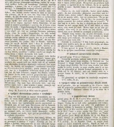 Kmetijske in rokodelske novize(1869) document 516176