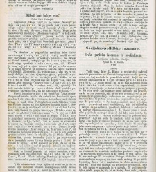 Kmetijske in rokodelske novize(1871) document 517238