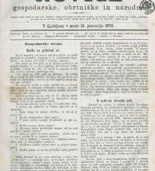 Kmetijske in rokodelske novize(1872) document 517307