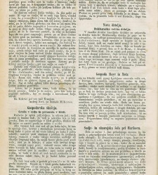 Kmetijske in rokodelske novize(1872) document 517326