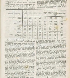 Kmetijske in rokodelske novize(1872) document 517351