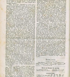 Kmetijske in rokodelske novize(1872) document 517380