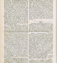 Kmetijske in rokodelske novize(1872) document 517442